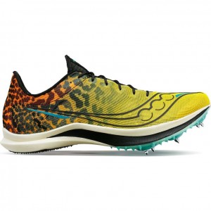 Saucony Endorphin Cheetah Laufschuhe Damen Mehrfarbig | BERLIN COKXMU