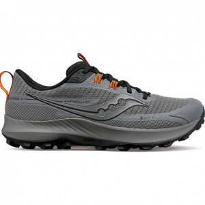 Saucony Peregrine 13 GTX Trailrunning Schuhe Herren Grau | BERLIN RQOEAH