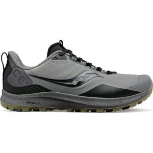 Saucony Peregrine ICE+ 3 Trailrunning Schuhe Herren Grau | BERLIN FEHMYJ