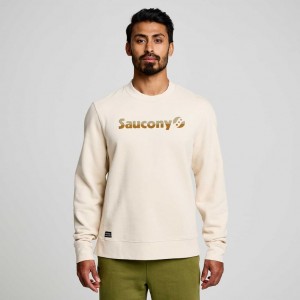 Saucony Recovery Crew Sweatshirt Herren Weiß | BERLIN JTCFID