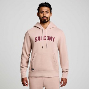 Saucony Recovery Hoodie Herren Rosa | BERLIN LYNSTZ