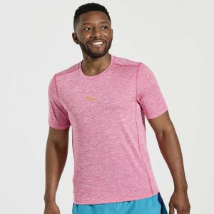 Saucony Stopwatch Kurzes Sleeve T-Shirt Herren Rosa | BERLIN WCIAYX