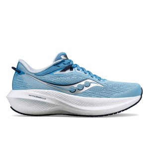 Saucony Triumph 21 Laufschuhe Damen Blau | BERLIN VSRYIK