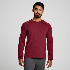 Saucony Triumph 3D Crew Sweatshirt Herren Rot | BERLIN CYBQHF