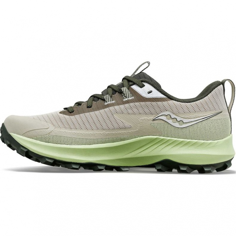 Saucony Peregrine 13 GTX Laufschuhe Herren Grau Mintfarben | BERLIN SWFIAR