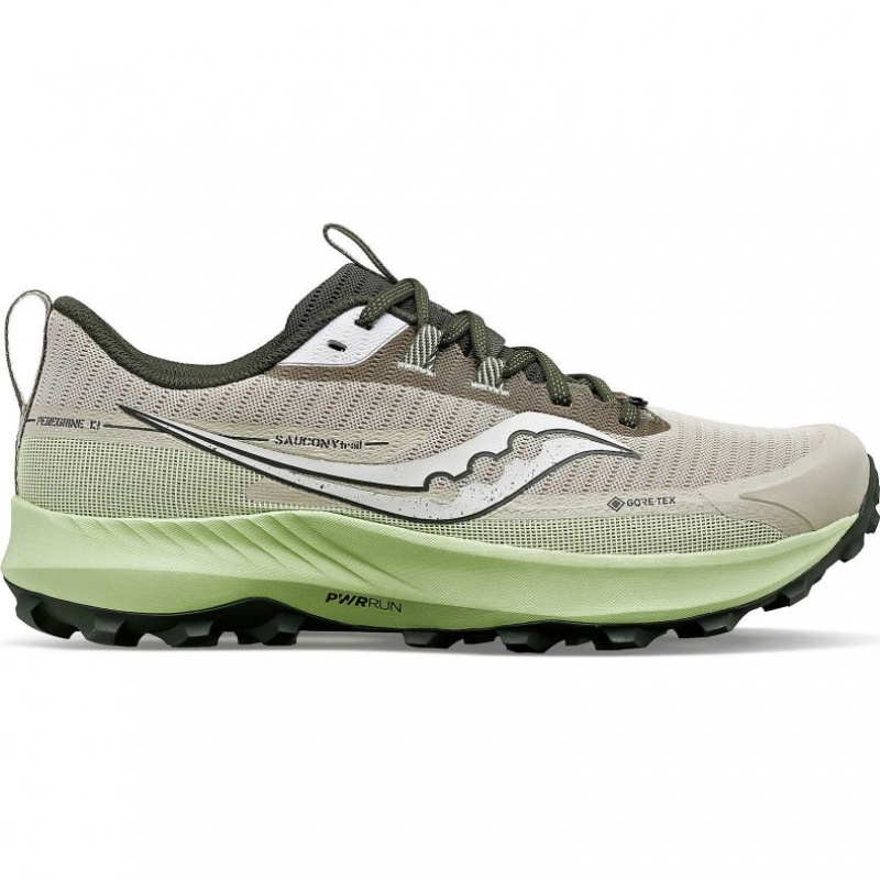 Saucony Peregrine 13 GTX Laufschuhe Herren Grau Mintfarben | BERLIN SWFIAR