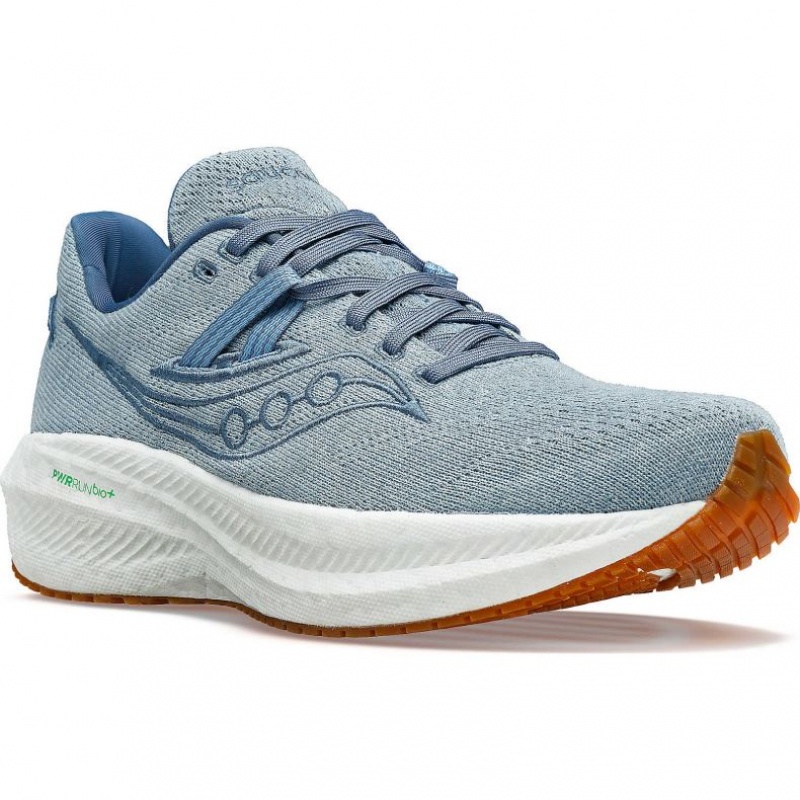 Saucony Triumph RFG Laufschuhe Herren Blau | BERLIN QFXJYH