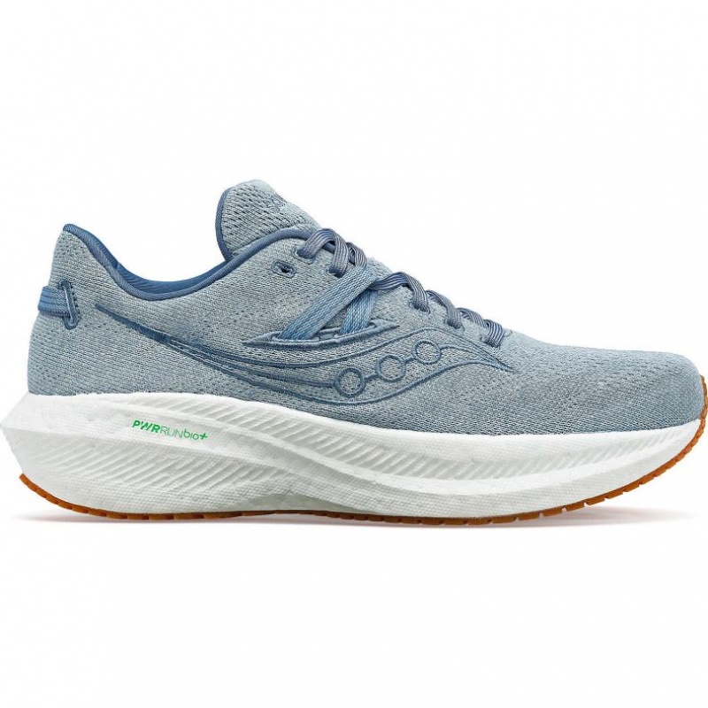 Saucony Triumph RFG Laufschuhe Herren Blau | BERLIN QFXJYH